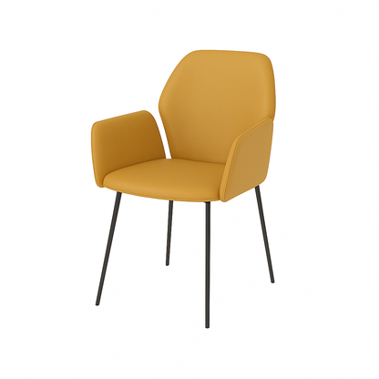Scaun piele BEJ | model PETRA